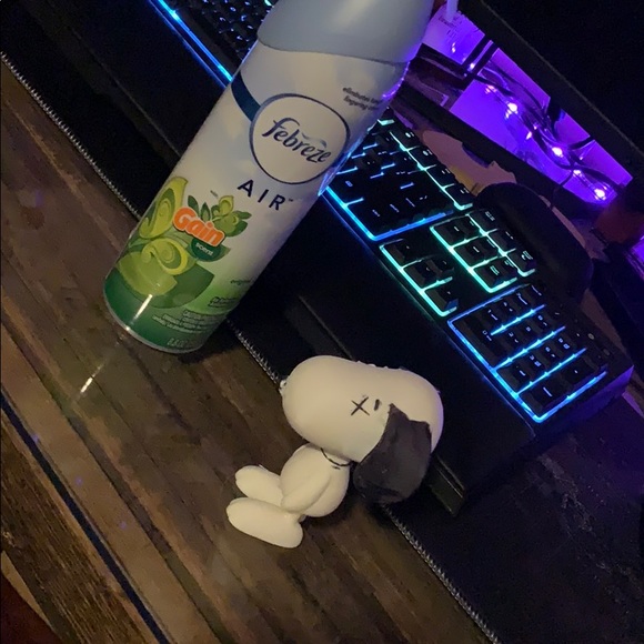 Snoopy - Picture 3 of 3